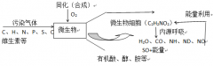 微生物法处理喷漆有机废气工艺