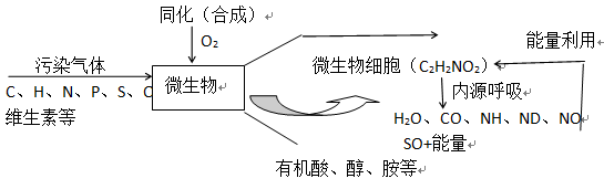 喷漆废气处理生物处理原理